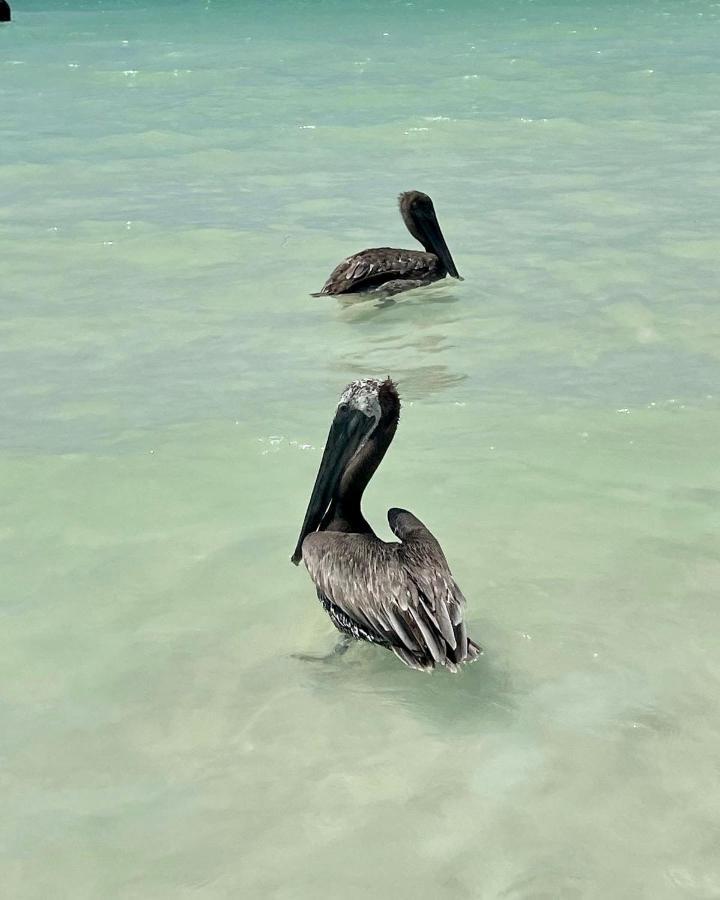 Hotel And Beach Club Escape Ilha Holbox