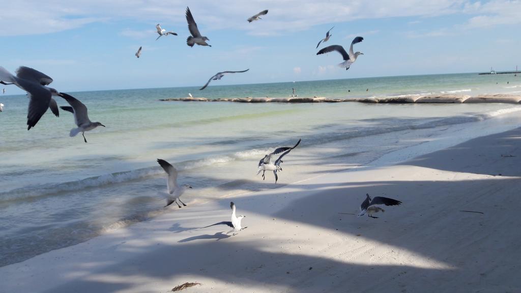 Hotel And Beach Club Escape Ilha Holbox
